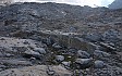 Klicken zum Vergrößern Hier war mal Gletscher!